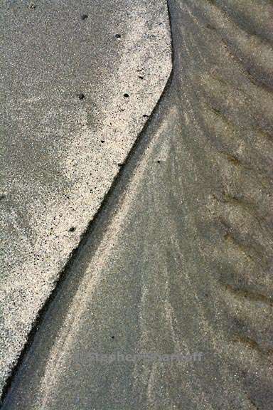 sand pattern 3709 1 graphic